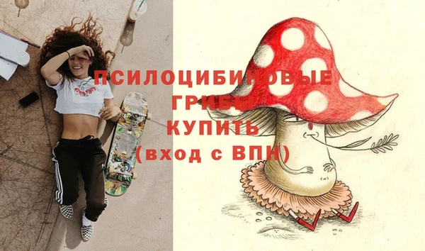 хмурый Кулебаки