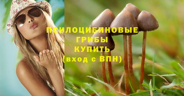 эйфоретик Кукмор