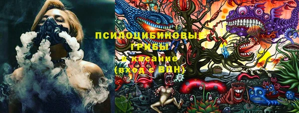 эйфоретик Кукмор