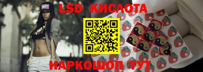спиды Гай