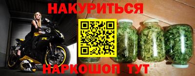 спиды Гай