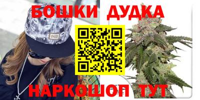 спиды Гай