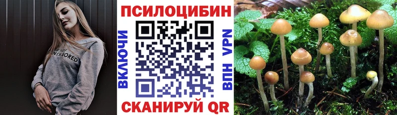 где найти наркотики  Павлово  Псилоцибиновые грибы мухоморы 