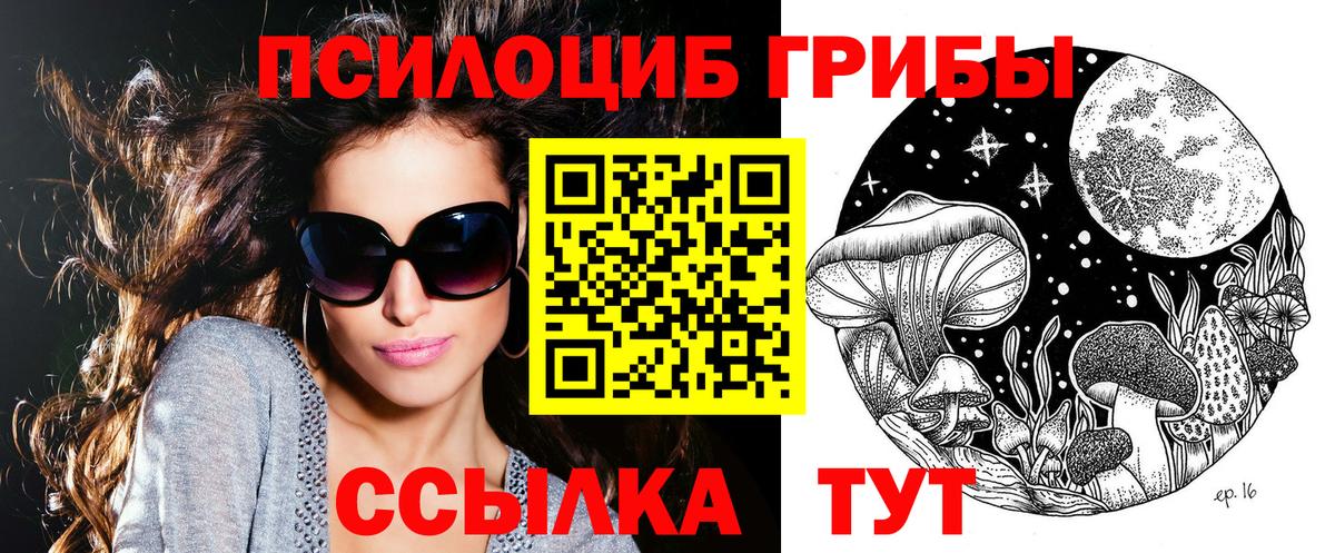 даркнет сайт  Вход с VPN  Павлово  Псилоцибиновые грибы Psilocybe  Псилоцибиновые грибы Psilocybe 